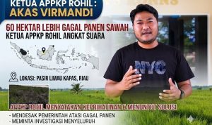 IMG-20260725-WA0102(1)